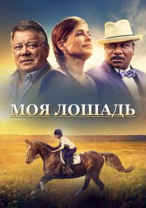 Моя лошадь (2016) скачать торрентом
