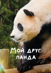 Мой друг панда (2024) скачать торрентом