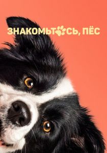 Знакомьтесь, пёс (2022) скачать торрентом