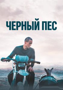 Чёрный пёс (2024) скачать торрентом