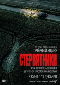 Стервятники (2025) скачать торрентом