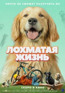 Лохматая жизнь (2023) скачать торрентом
