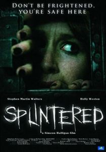 Раздвоение (2010) скачать торрентом