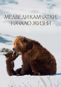 Медведи Камчатки. Начало жизни (2018) скачать торрентом